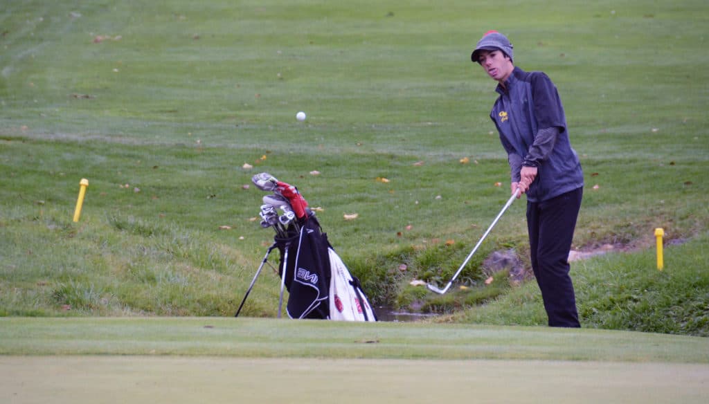 Evergreen golfers in contention for 4A team title