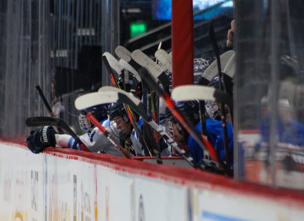 Generic hockey