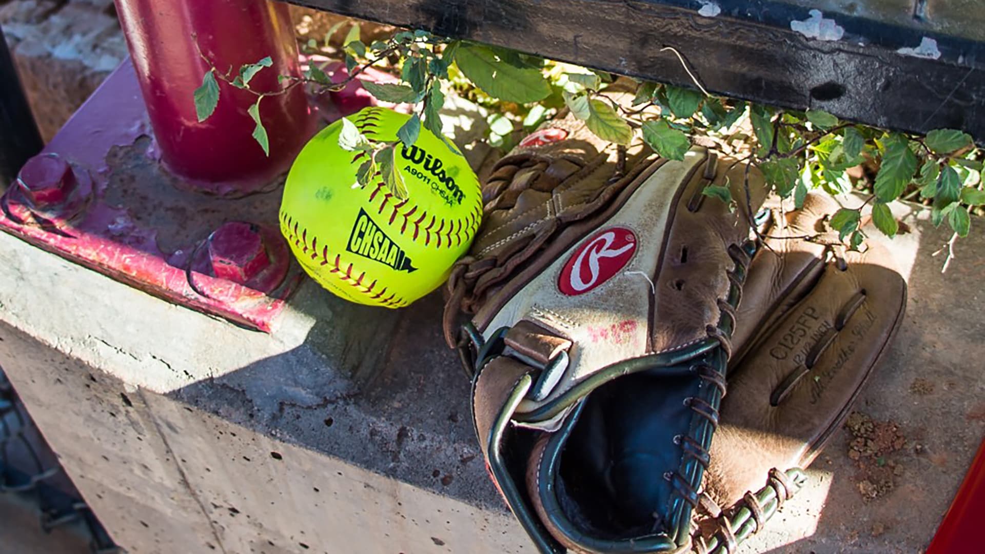 Softball generic