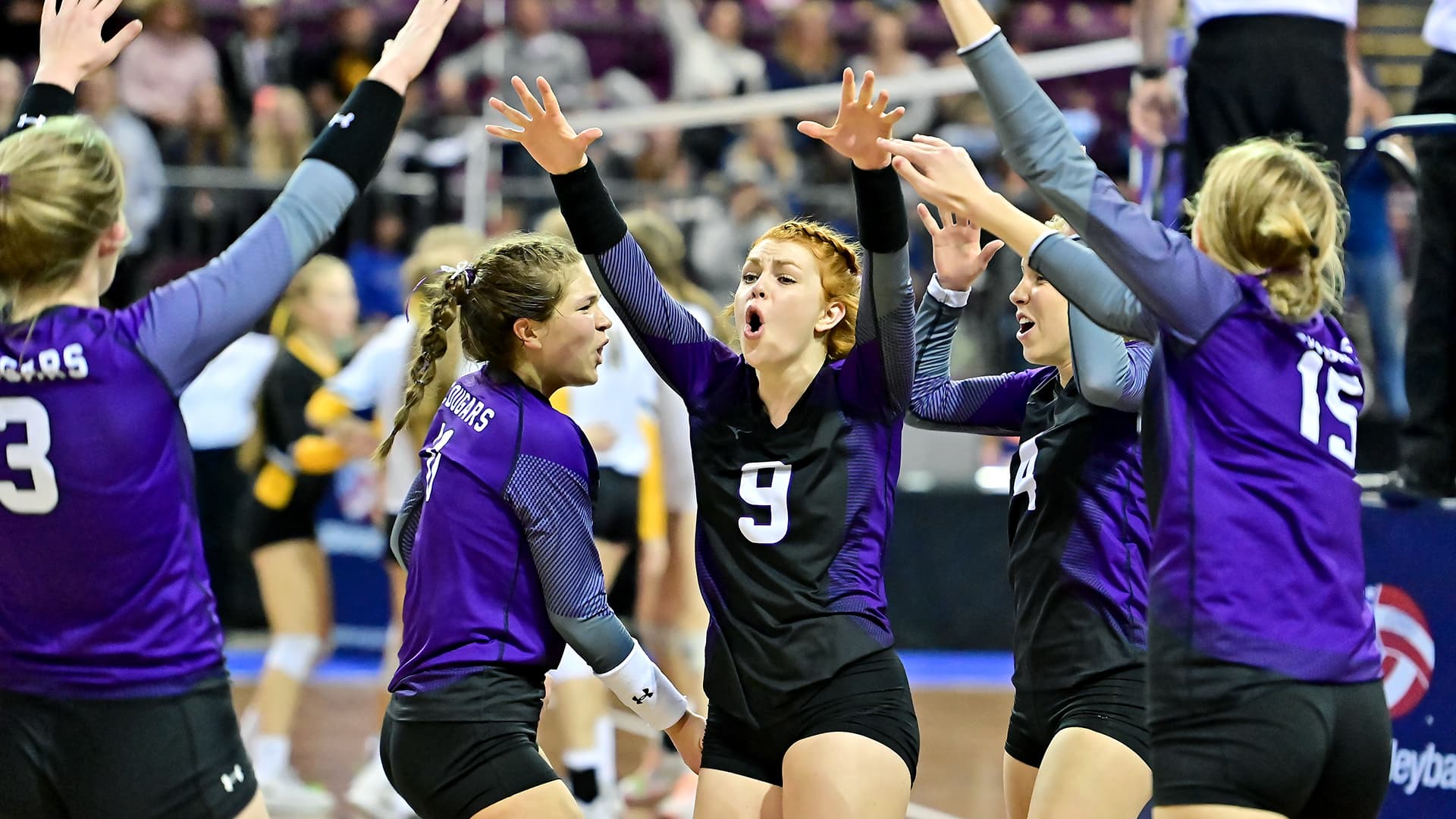 Sedgwick County girls volleyball