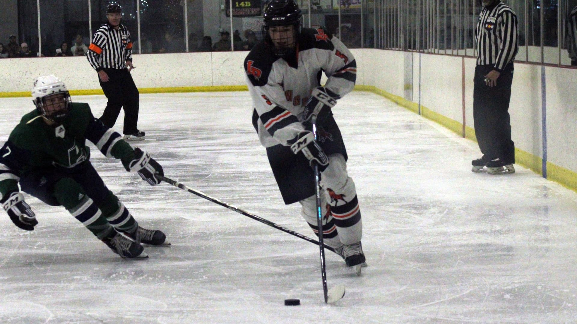 Lewis-Palmer hockey