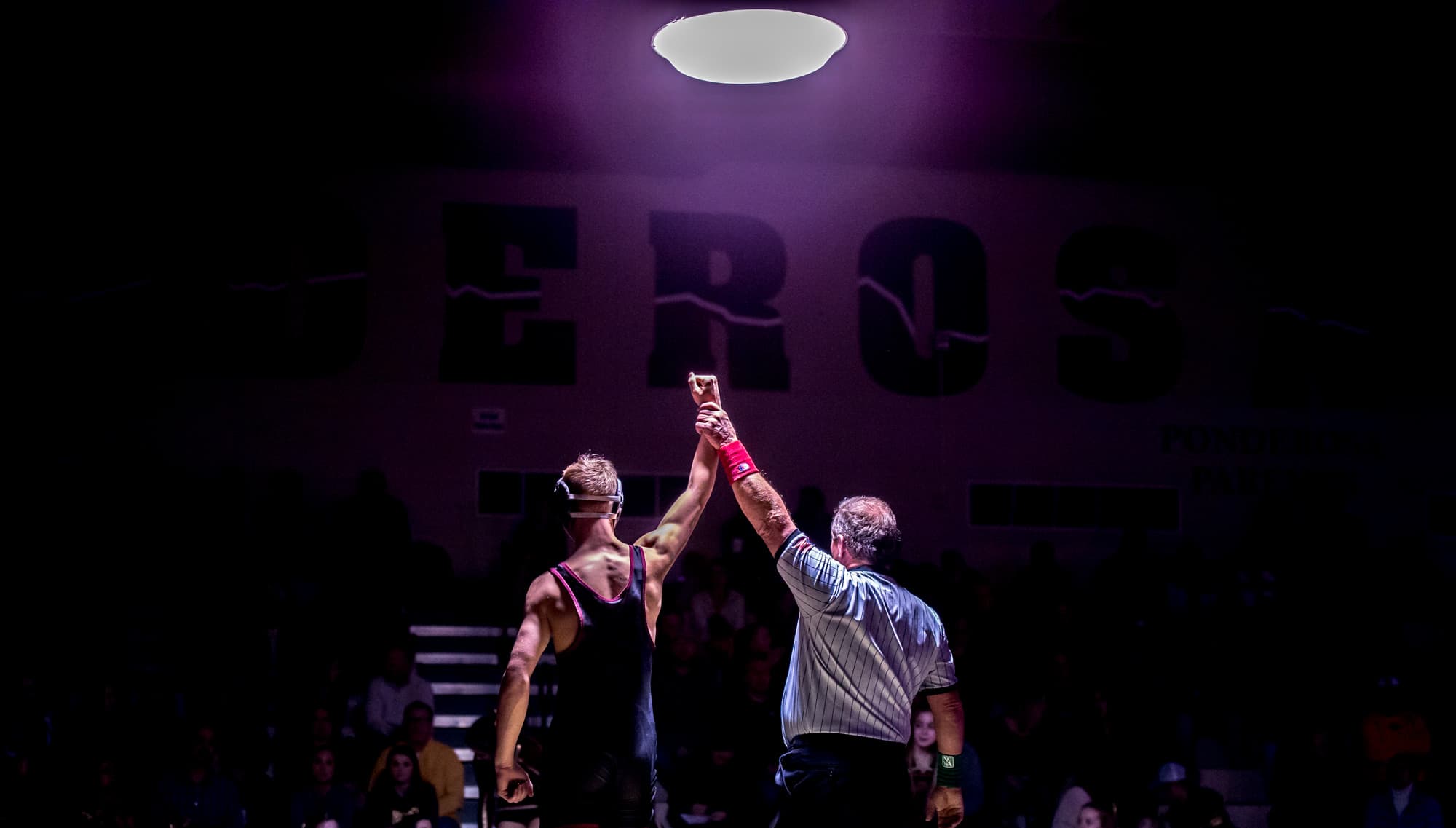 Wrestling generic