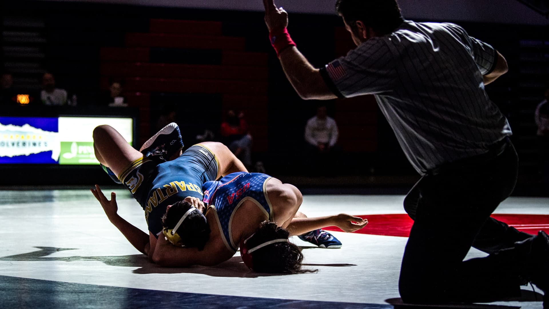 Wrestling generic