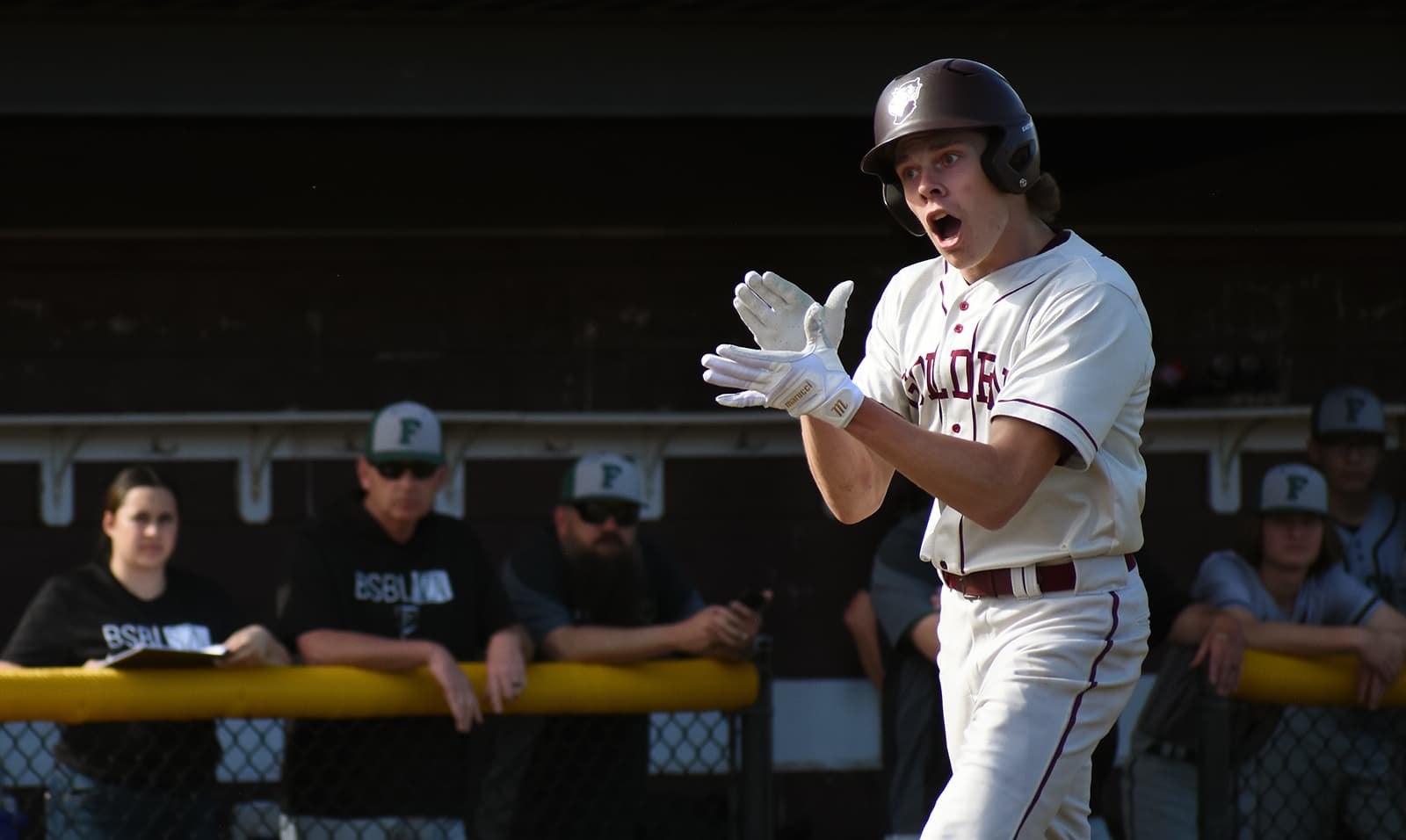 Baseball: Falcon vs Golden