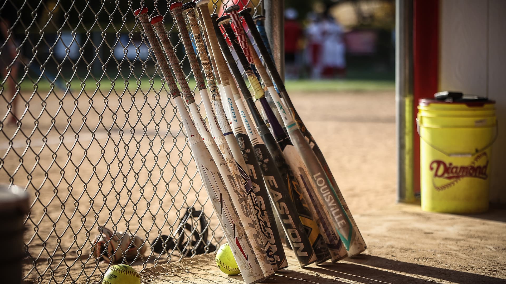 Softball generic