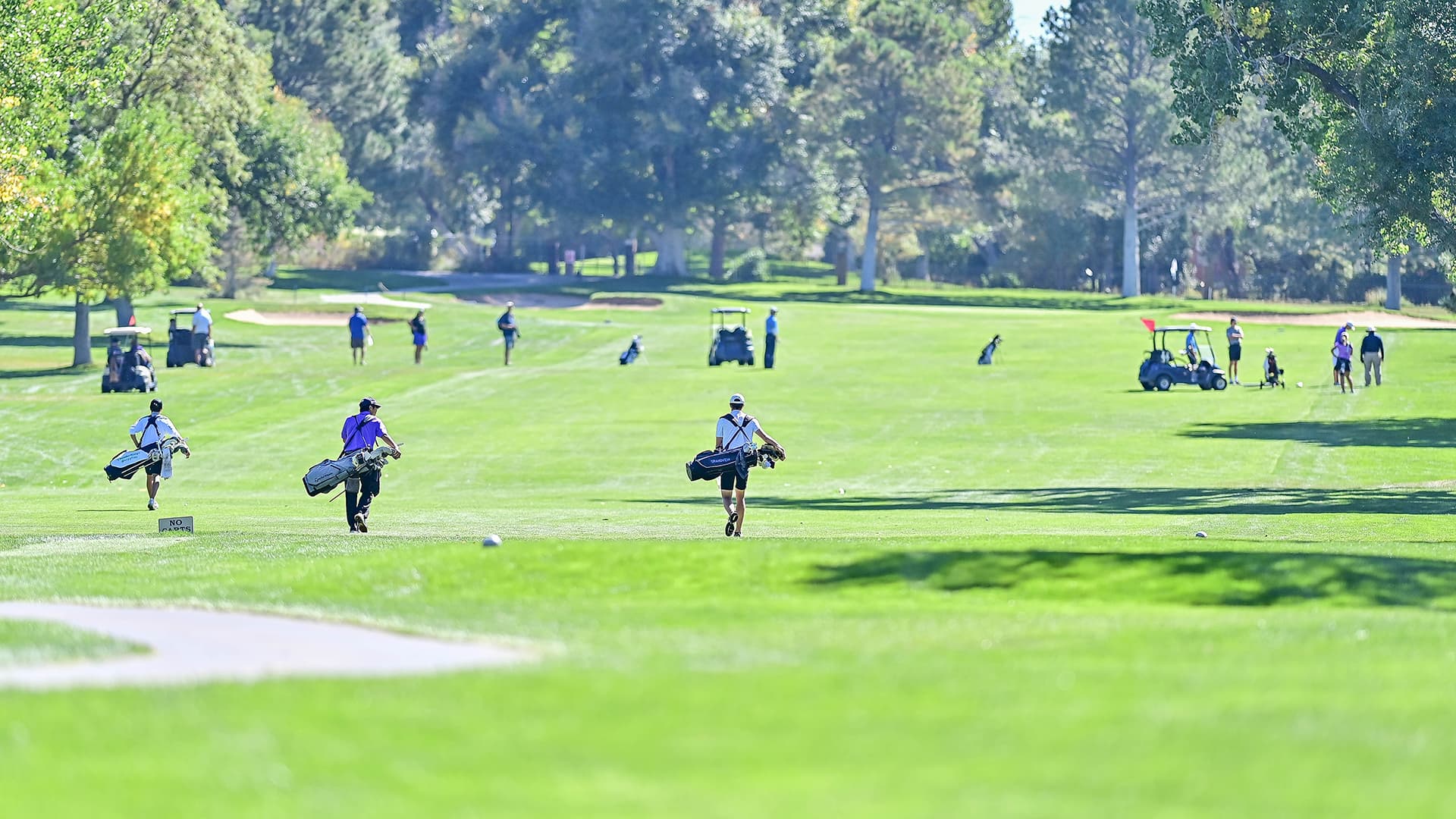 Boys golf generic