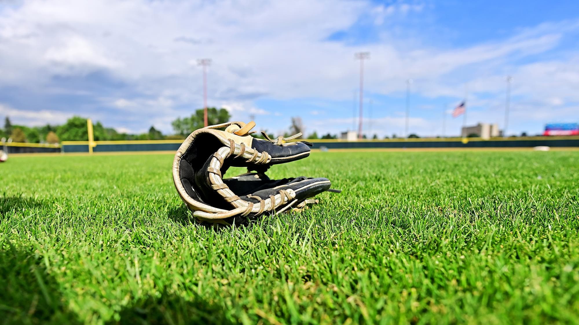 Baseball generic