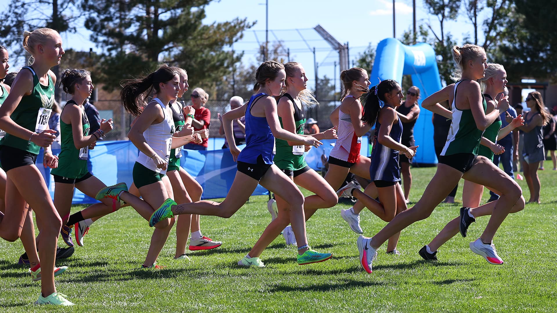 Dave Sanders cross country