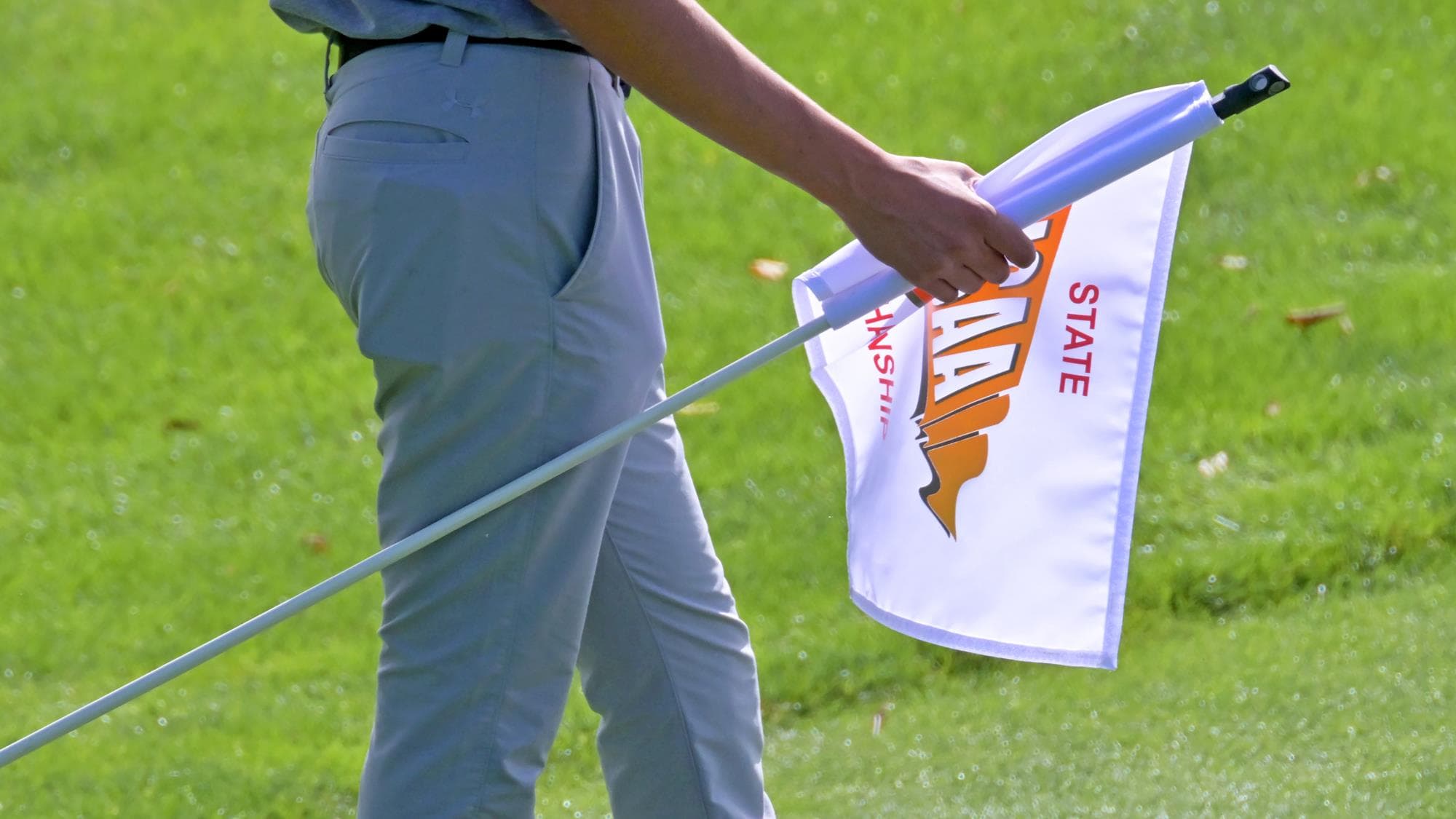 golf generic
