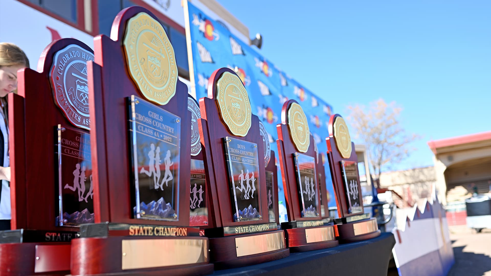 Cross country trophies