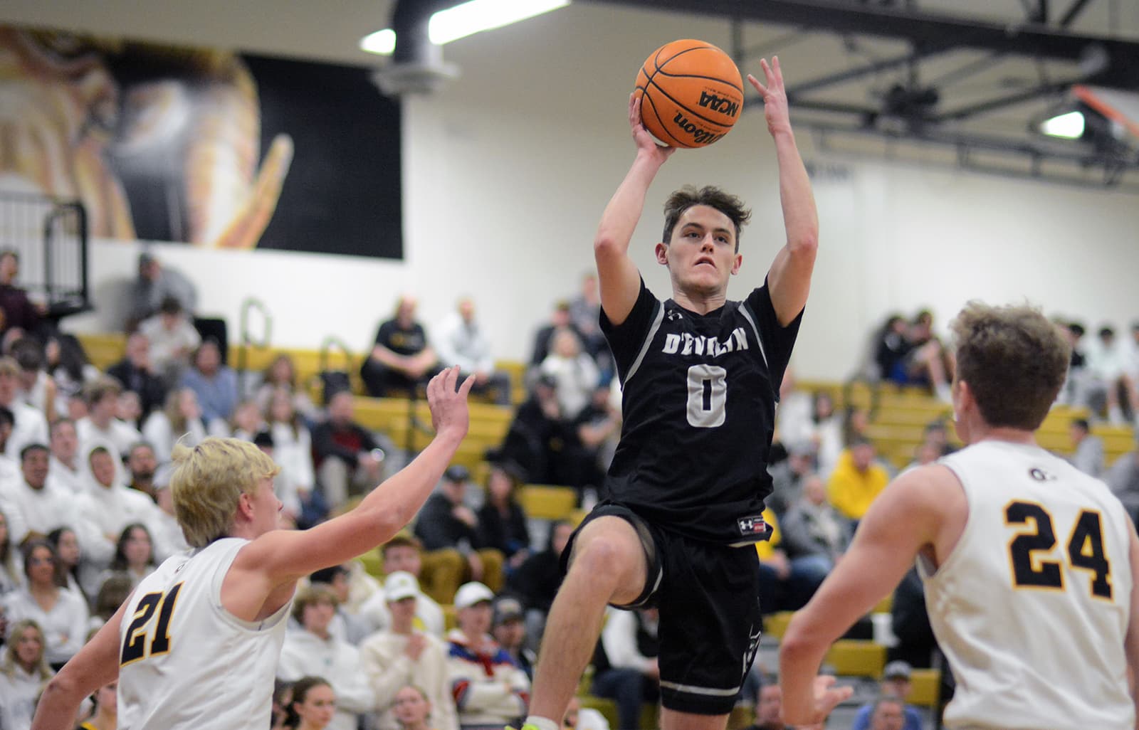 Boys Basketball: D'Evelyn vs Green Mountain