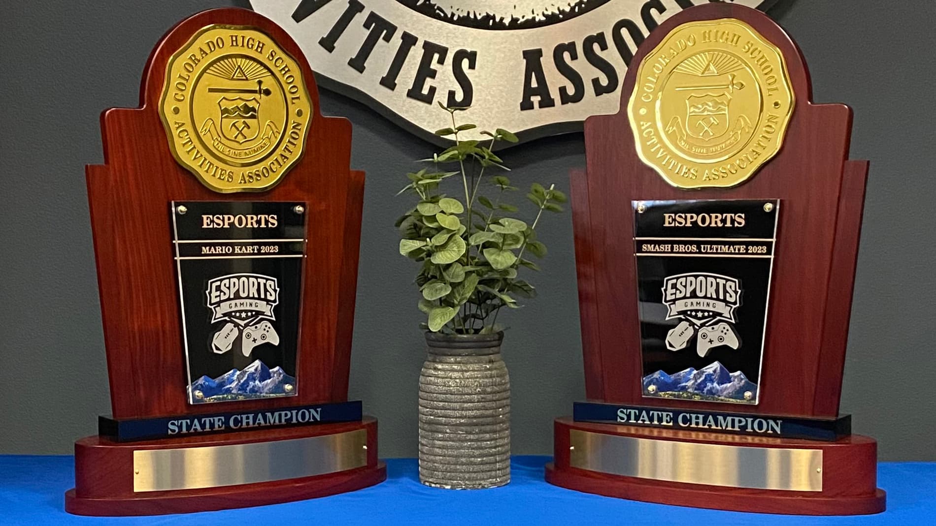 Esports trophies for Super Smash Bros and Mario Kart