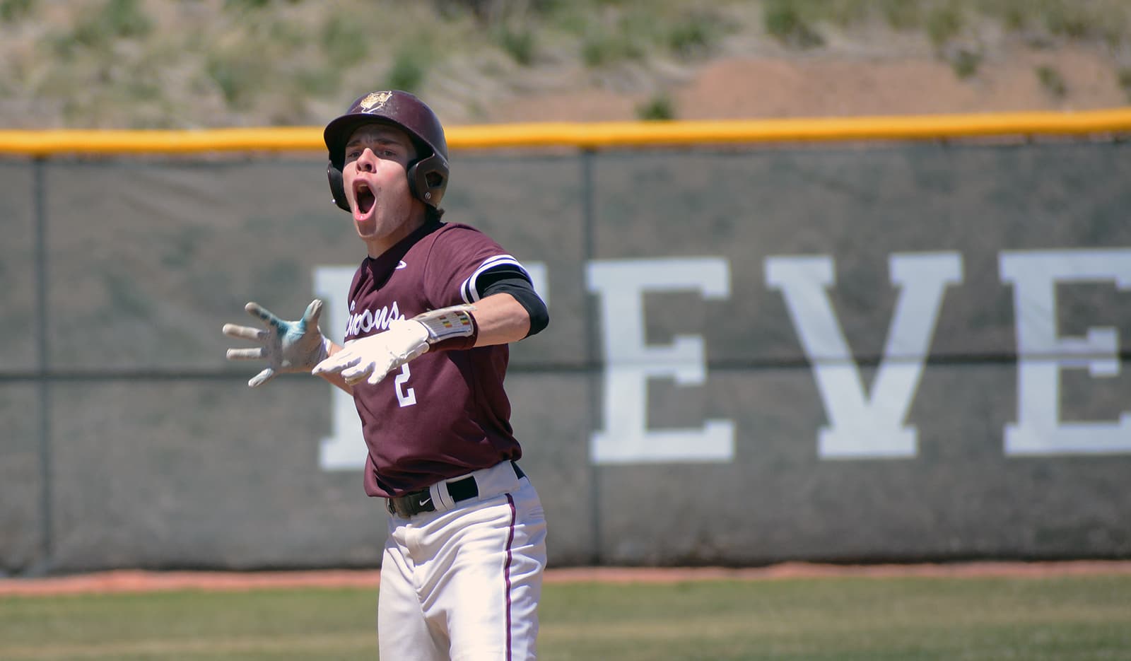 Baseball: Golden vs D'Evelyn