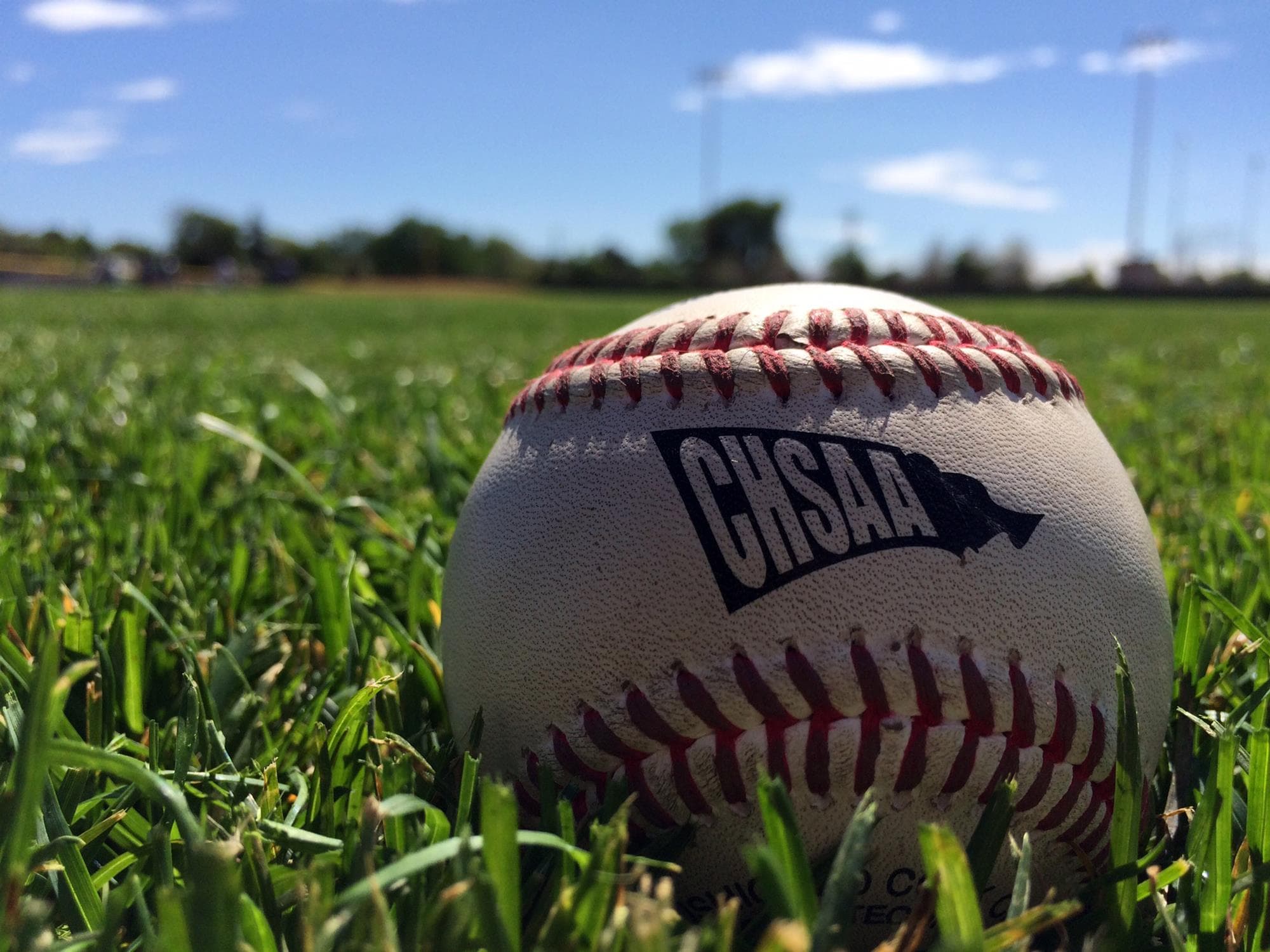 Baseball generic