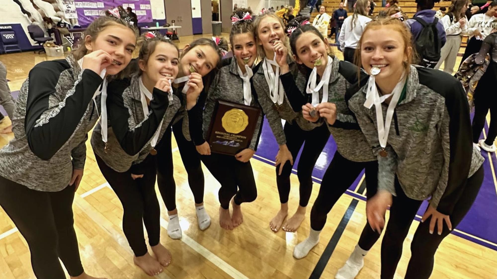 Niwot gymnastics