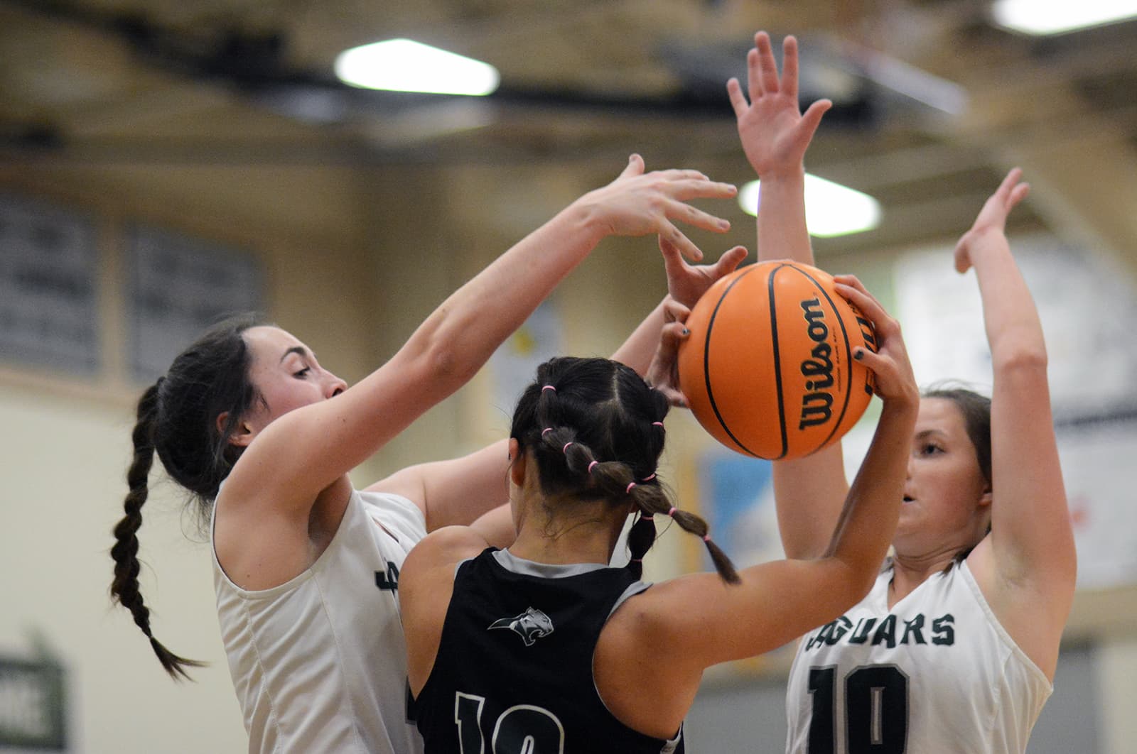 Girls Basketball: Jungle Jam Tournament