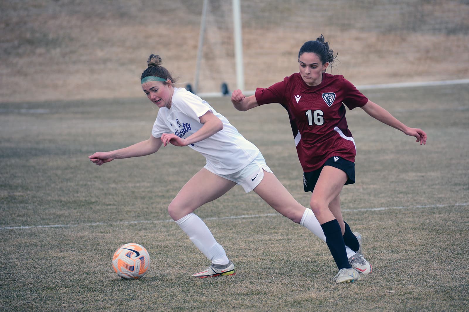 Girls Soccer: Arvada West vs Golden