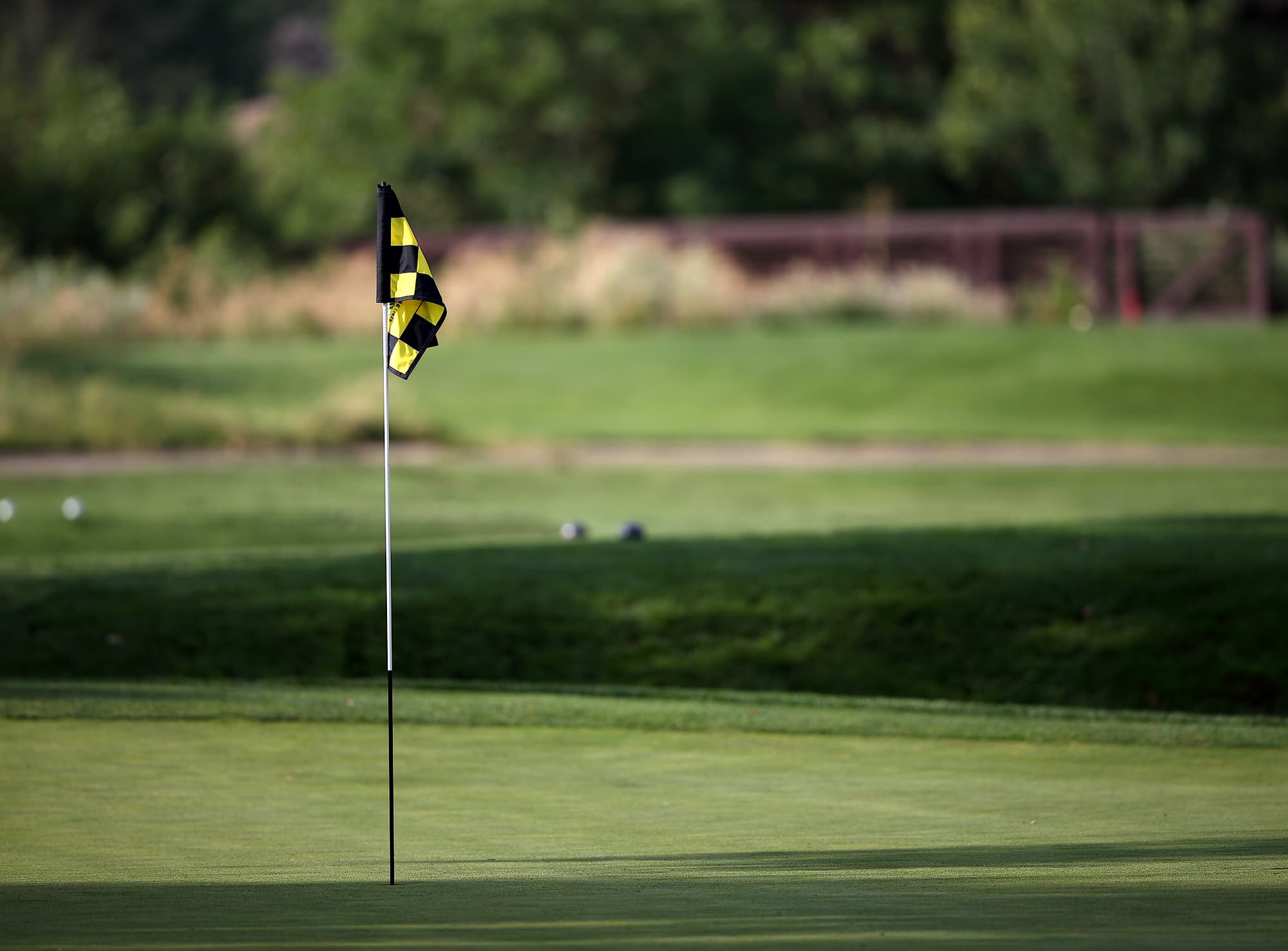boys golf generic