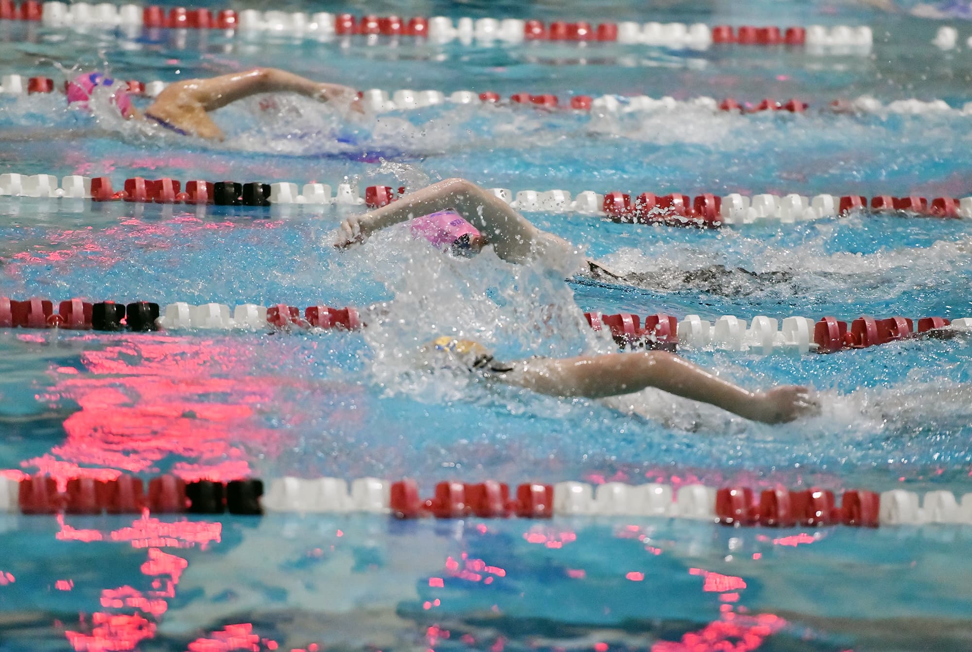 Girls Swim and Dive State Championship Information