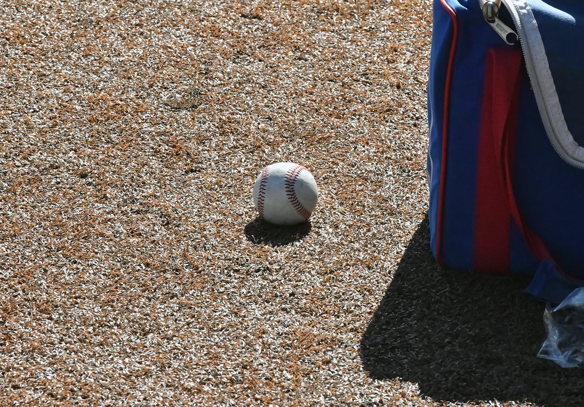 Baseball: Regional Tournament Brackets Released in 2A, 3A, 4A and 5A