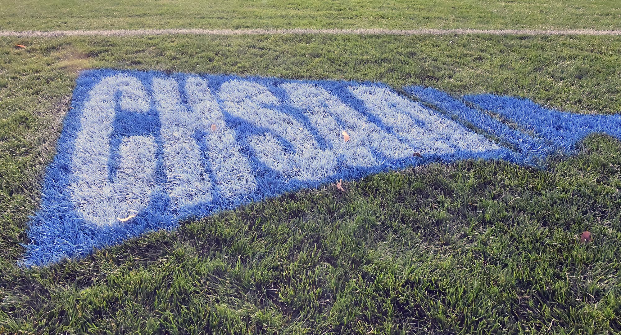 Seeding & Selection Index Released for Spring Sports