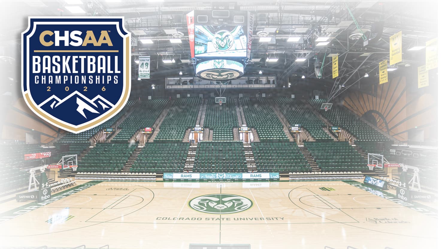 Moby Arena graphic