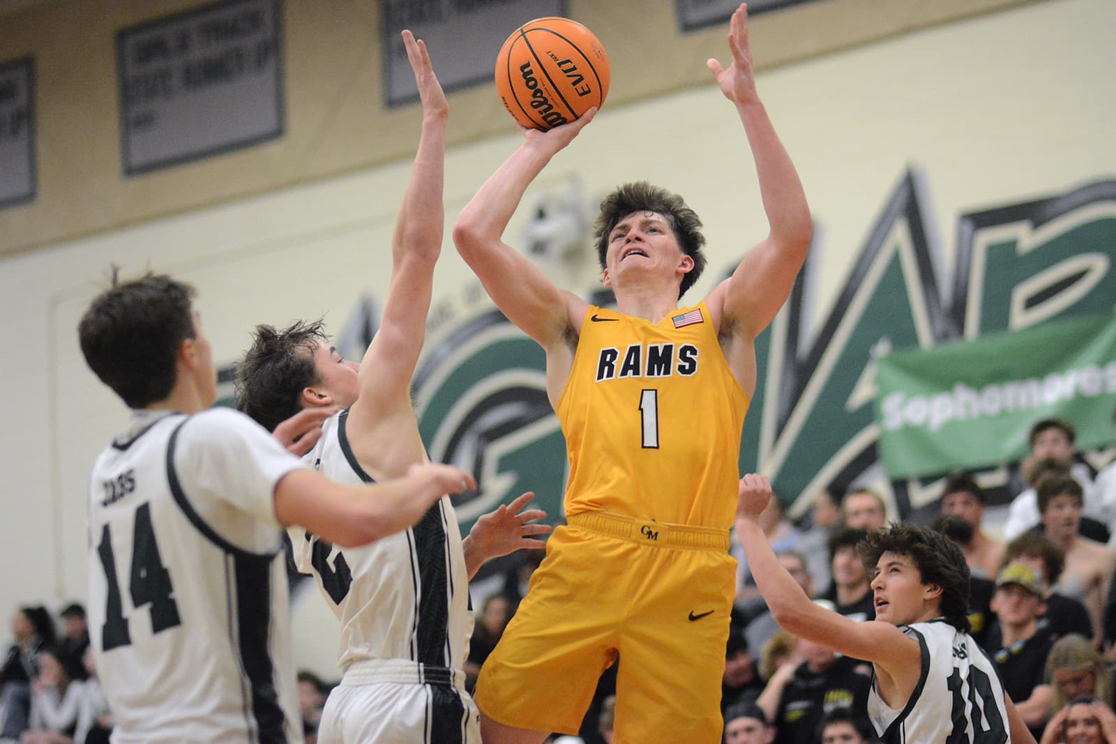 Boys Basketball: Green Mountain vs D'Evelyn