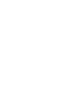 Varsity Spirit logo
