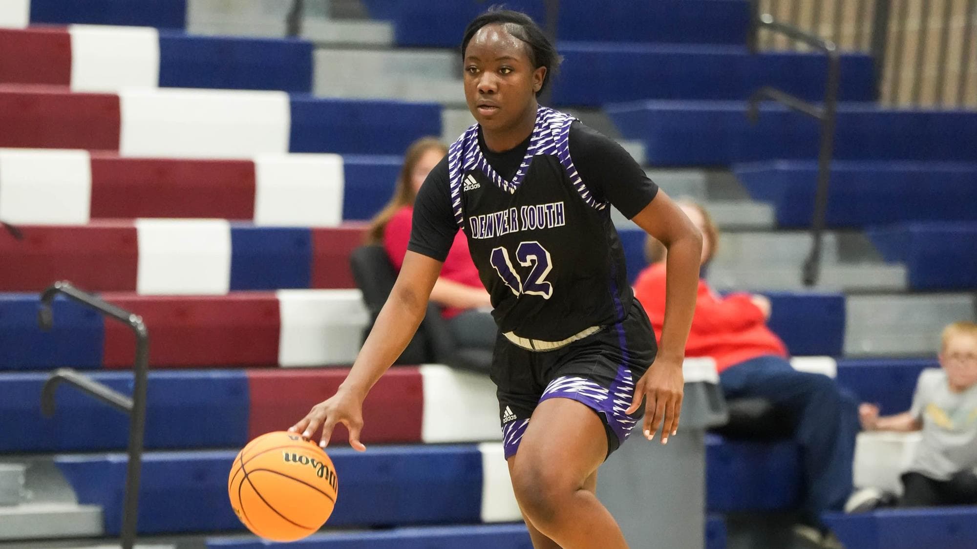 Denver South girls basketball