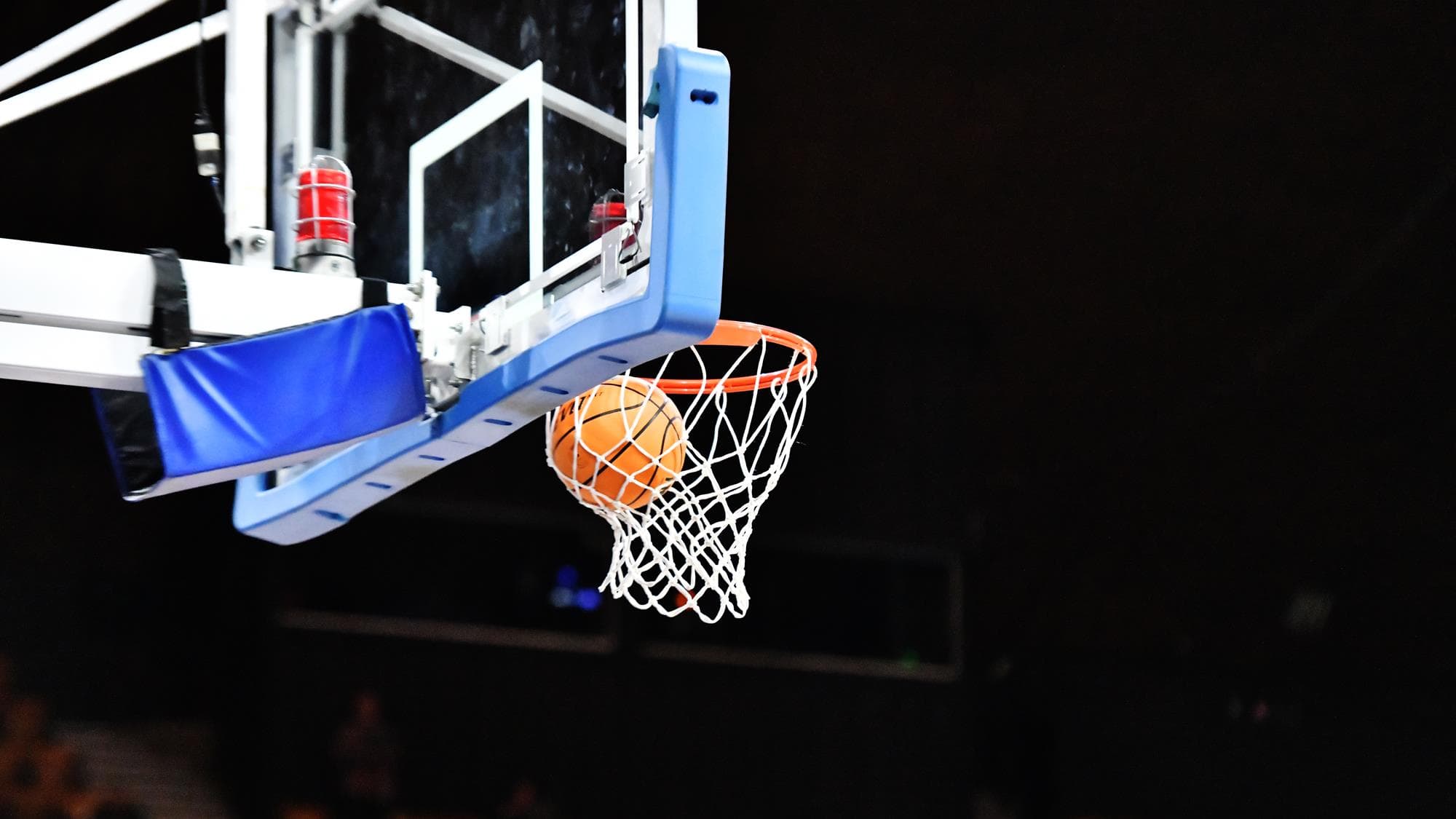 Generic basketball in net