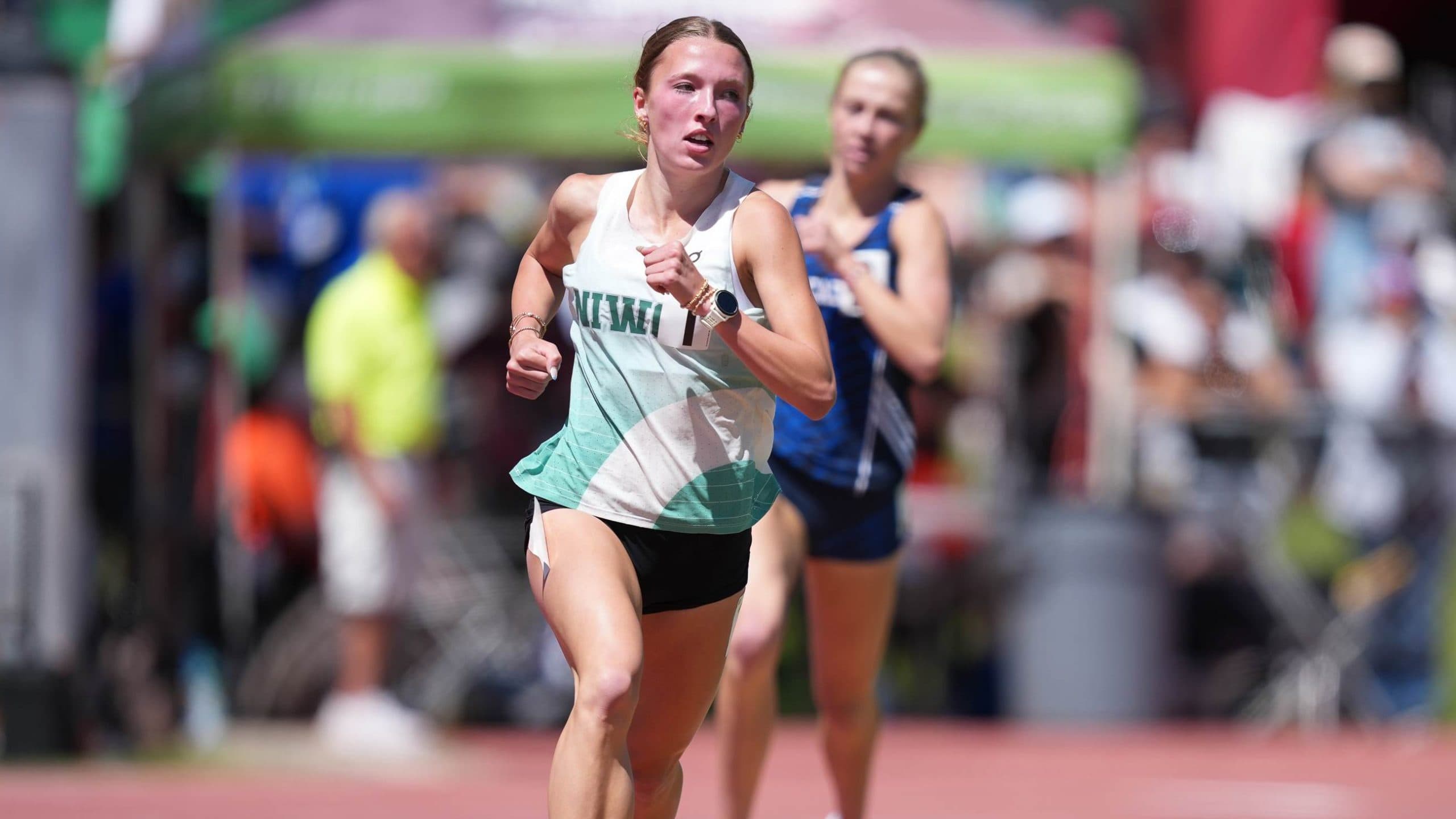 Niwot Addison Ritzenhein